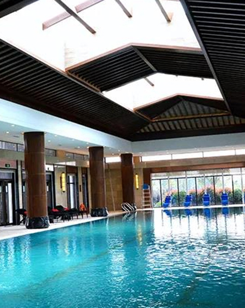 PROFESSIONAL BRAND OF SWIMMING POOL EQUIPMENT