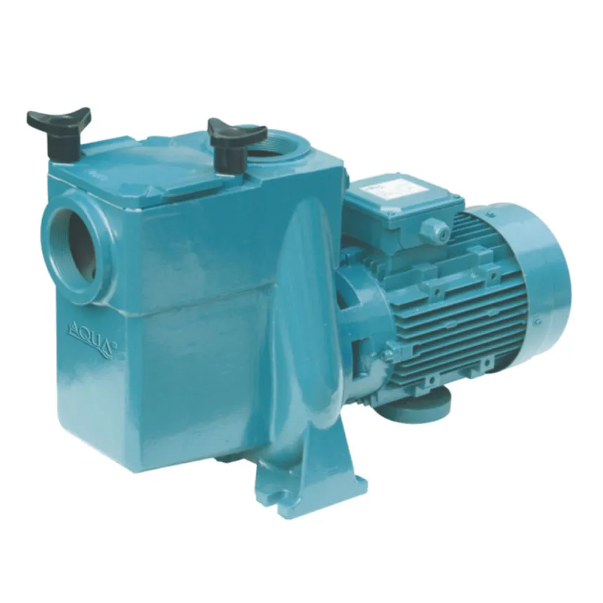 ATS/AT Professional Swimming Pool Pump