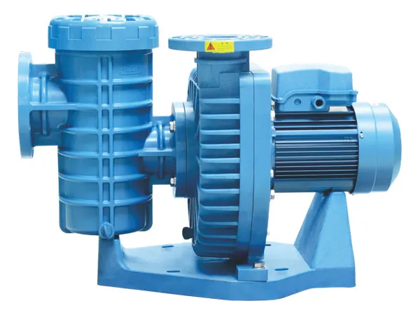 ALK Professional Swimming Pool Pump