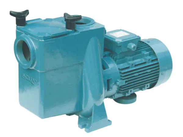 ATS/AT Professional Swimming Pool Pump