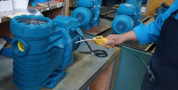 swimming pool pump of china
